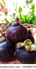 The fruit of the Mangosteen or Garcinia mangostana or purple mangosteen is sweet and tangy, juicy, somewhat fibrous, with fluid-filled vesicles (like the flesh of citrus fruits). selective focus