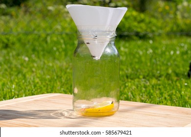 Fruit And Small Flies Trap Made Out Of Jar, Paper Funnel, Lemon And Sugar Inside