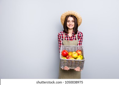 Fruit tree pick buy present show demonstrate market checkered shirt straw hay people person concept. Portrait of kind friendly lady offering to try taste apple isolated on gray background copyspace - Powered by Shutterstock