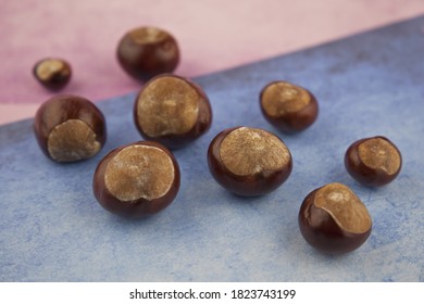 The Fruits Of The Chestnut Tree Of The Beech Family On A Pink-blue Background