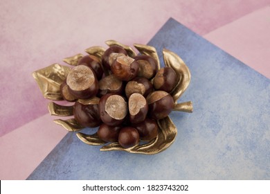 The Fruits Of The Chestnut Tree Of The Beech Family On A Pink-blue Background