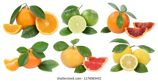 Fruits Collection Oranges Mandarin Lemon Grapefruit Stock Photo ...