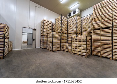 Fruits In Crates Ready For Shipping. Cold Storage Interior.