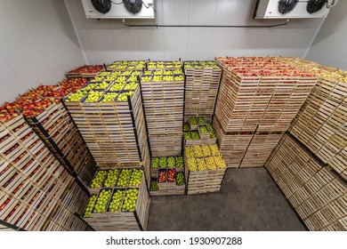 Fruits In Crates Ready For Shipping. Cold Storage Interior.