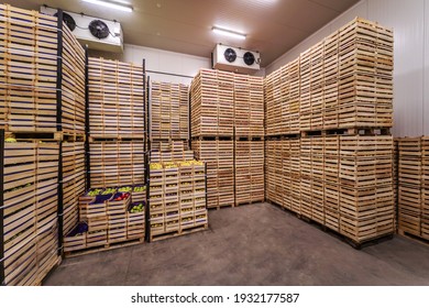 Fruits In Crates Ready For Shipping. Cold Storage Interior.