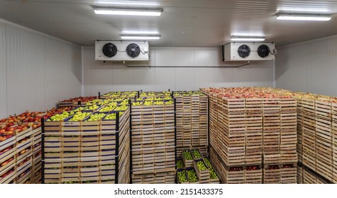 Fruits In Crates Ready For Shipping. Cold Storage Interior.