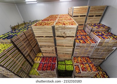 Fruits In Crates Ready For Shipping. Cold Storage Interior.