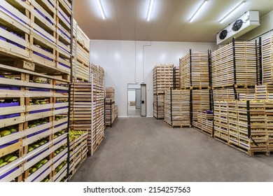 Fruits In Crates Ready For Shipping. Cold Storage Interior.