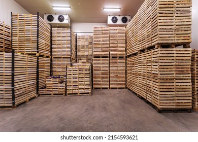 Fruits In Crates Ready For Shipping. Cold Storage Interior.