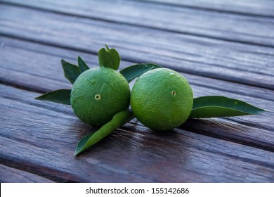 The fruits of the orange tree