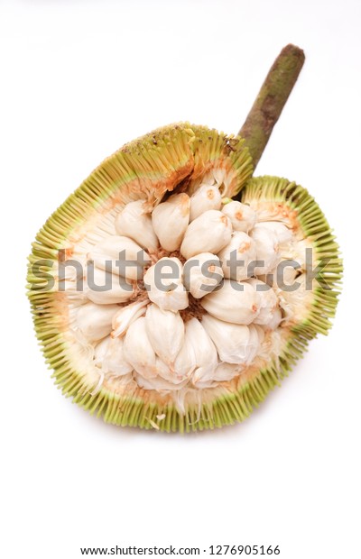 Fruits Sabah Borneo Called Buah Tarap Stock Photo Edit Now 1276905166