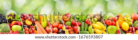Fruits, vegetables, berries separated oblique lines on green blurred background. Wide panorama.