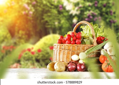 Fruits And Vegetables In Garden 