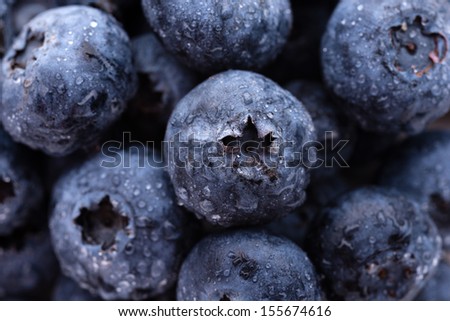 Fruits and vegetables: group of fresh wet blueberries, close-up shot