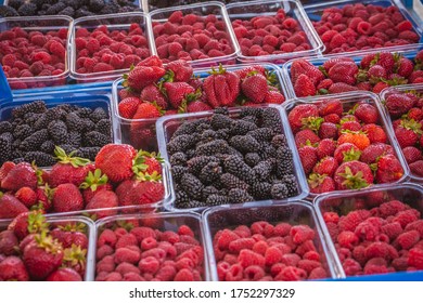 Fruits And Vegetables At The Local Market Of Oamaru, New Zealand.