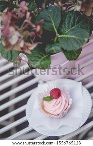 Fruity cupcake with whipped cream and raspberry on a plate