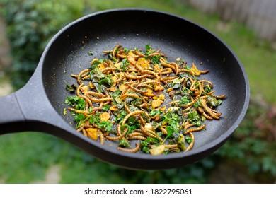 frying of edible mealworm larvae mixed with spice and herbs