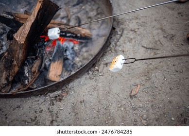Frying marshmallows on the campfire