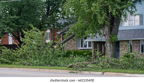 Ft Dodge Iowa United States-5/17/2017 Tree That Fell On A House In Fort Dodge Iowa After A Big Storm