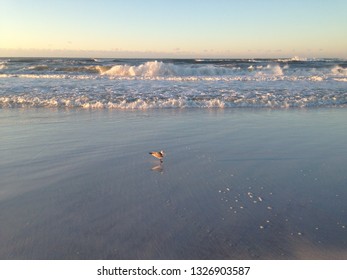 Ft. Walton, Florida Beach 