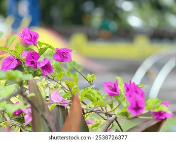 flores papel color fucsia