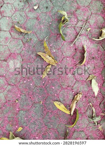 Fuchsia dust blankets hexagonal pavement. Dry leaves scatter across vividly colored ground. Natural debris blends with artificial pattern. Vibrant hue contrasts dull, weathered surface