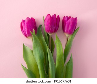 Color Fuchsia Pink 图片 库存照片和矢量图 Shutterstock