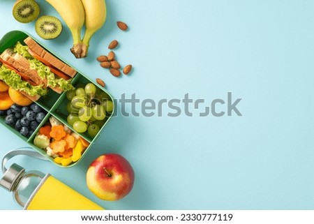 Fuel educational breaks with a top-down composition highlighting lunch box with vegan sandwiches and other food on blue isolated background, inviting the addition of text or advertorial content