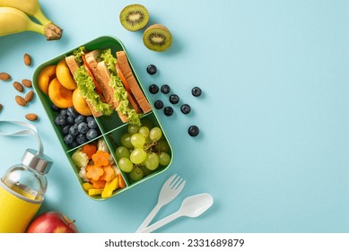 Fuel up your mind: Top view image featuring lunch box with sandwiches, fruits and vegetables, water bottle on pastel blue isolated background, with copy-space available for text or promotional content
