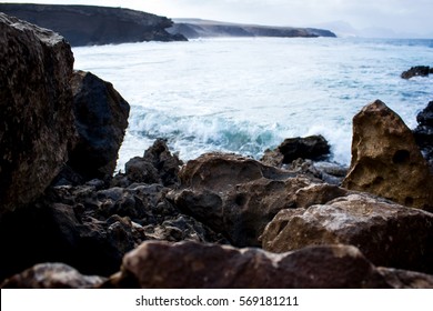 fuerteventura. canary islands - Shutterstock ID 569181211