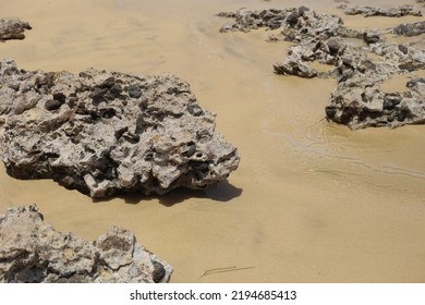 Fuerteventura, South Eastern Beach Of Playa 