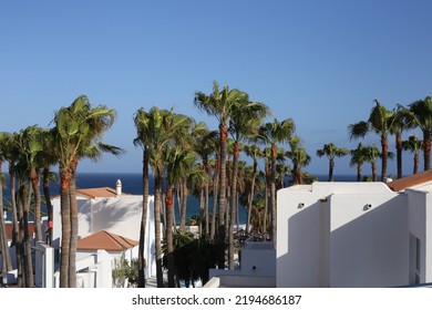 Fuerteventura, South Eastern Beach Of Playa 