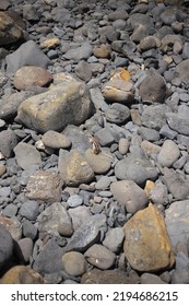 Fuerteventura, South Eastern Beach Of Playa 