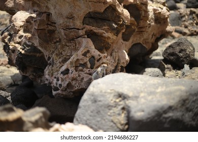 Fuerteventura, South Eastern Beach Of Playa 