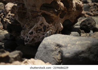 Fuerteventura, South Eastern Beach Of Playa 