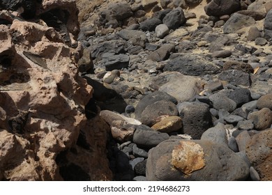 Fuerteventura, South Eastern Beach Of Playa 