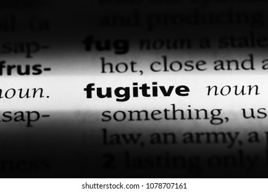 Fugitive Word In A Dictionary. Fugitive Concept