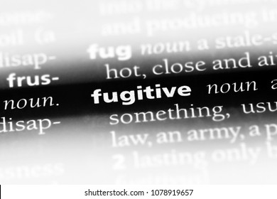 Fugitive Word In A Dictionary. Fugitive Concept