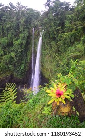 Fuipisia Waterfall, Samoa