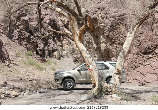 Fujairah, United Arabia Emirates -\
June 19, 2022: Four wheel drive vehicle (4x4, 4WD, SUV) in a remote\
desert wadi (dry ravine) with rare desert adapted\
trees.
