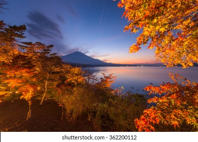 Fuji in Fall