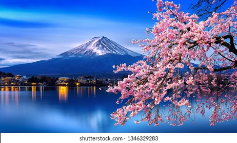 Fuji mountain and cherry blossoms in spring, Japan. - Shutterstock ID 1346329283