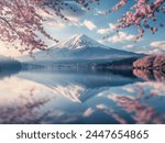 Fuji mountain and Pink Sakura Branches in Springtime and reflection in the lake Kawaguchiko at dawn, Japan