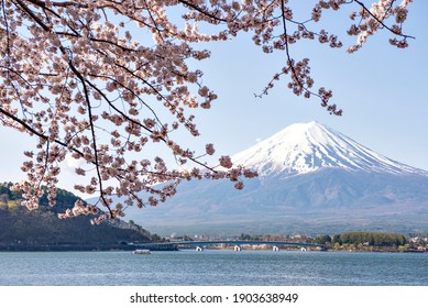 富士山 桜 High Res Stock Images Shutterstock