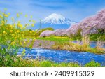 Fuji mountain and Sakura trees along Uruigawa River in springtime, Fujinomiya, Shizuoka