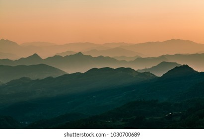 Fujian White Tea Chashan Tea Tea Field