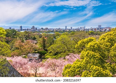 The Fukuoka city panoramic view from the observation of  Maizuru Park, Fukuoka, Japan.