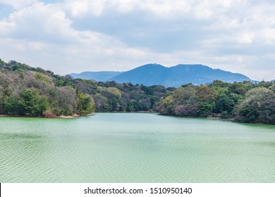 Fukuoka, Japan - April 03 2019 : 