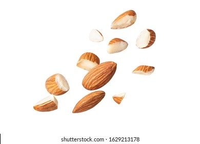 full almond fly on white isolated with clipping path - Shutterstock ID 1629213178