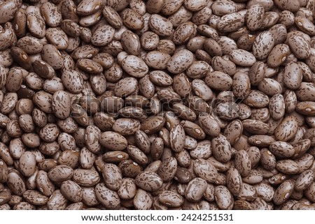 Full background of Pinto Beans